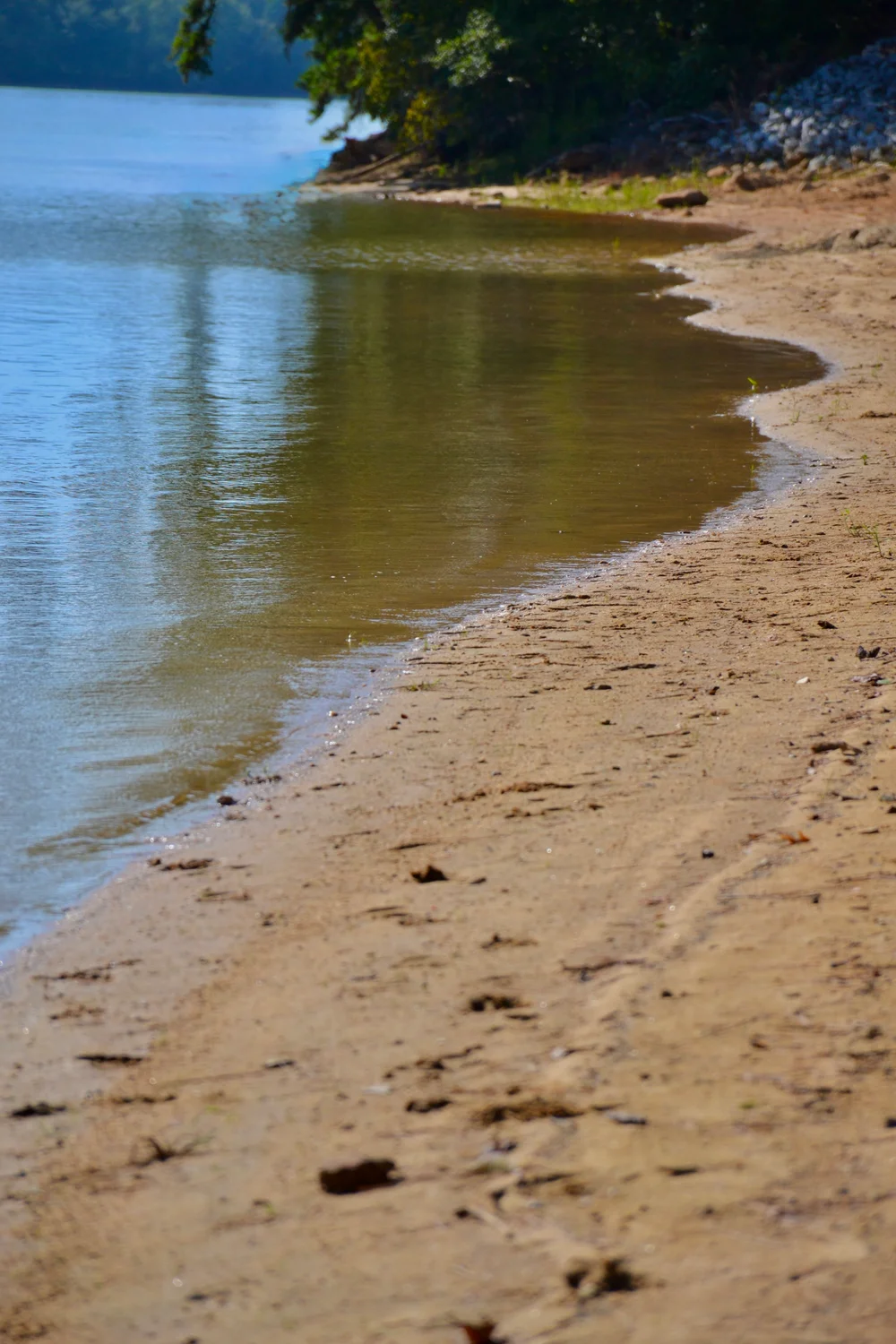 Sunlight on a sandy lakeshore and gentle ripples along the water